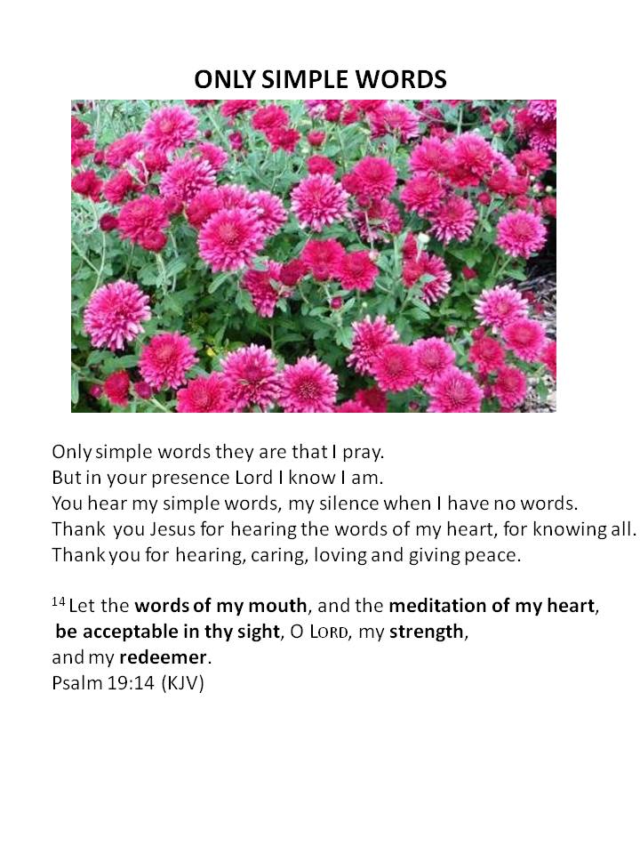 SIMPLE WORDS